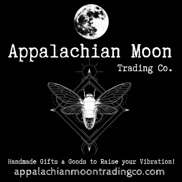 Sun Stone & Crinoid Fossil (Indian Bead) Hoop Earrings - Picture 4 of 4